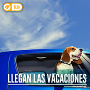 Que una llanta no arruine tus Vacaciones