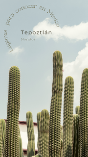 Viaje seguro, la importancia de revisar tus llantas antes de partir